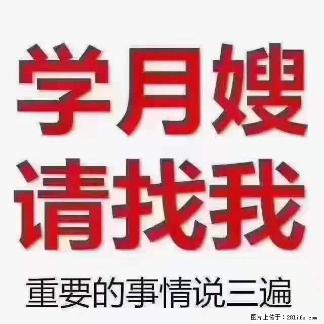为什么要学习月嫂，育婴师？ - 新手上路 - 延安生活社区 - 延安28生活网 yanan.28life.net