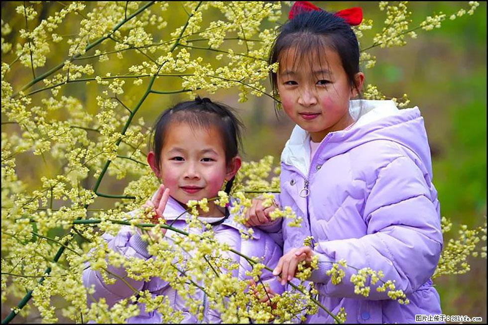 【春天，广西桂林灌阳县向您发出邀请！】米珠山前有片山苍子花在飘香 - 游山玩水 - 延安生活社区 - 延安28生活网 yanan.28life.net
