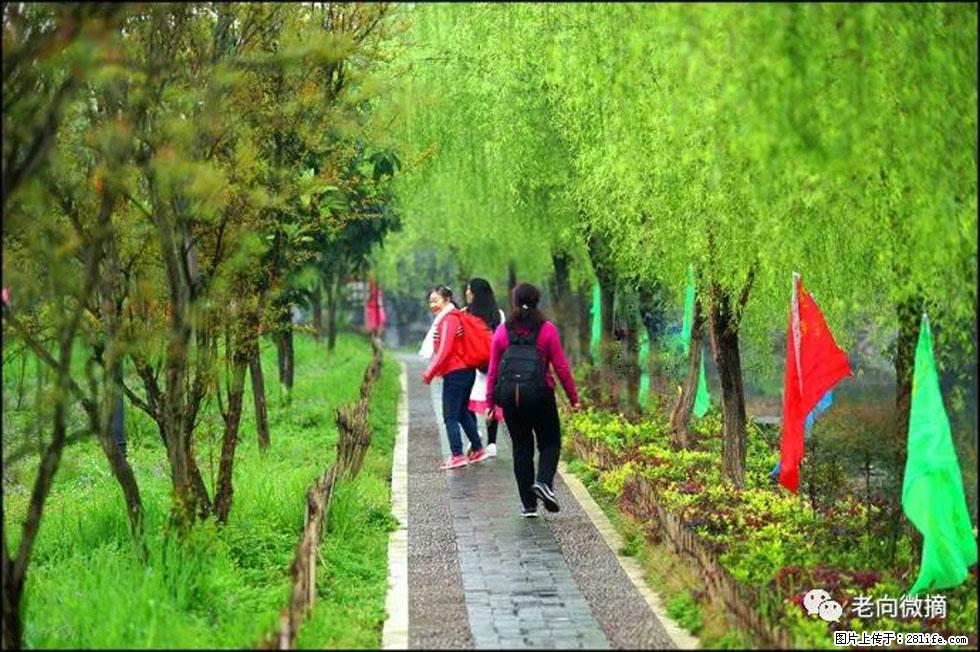 【春天，广西桂林灌阳县向您发出邀请！】江口老街又逢春 - 游山玩水 - 延安生活社区 - 延安28生活网 yanan.28life.net
