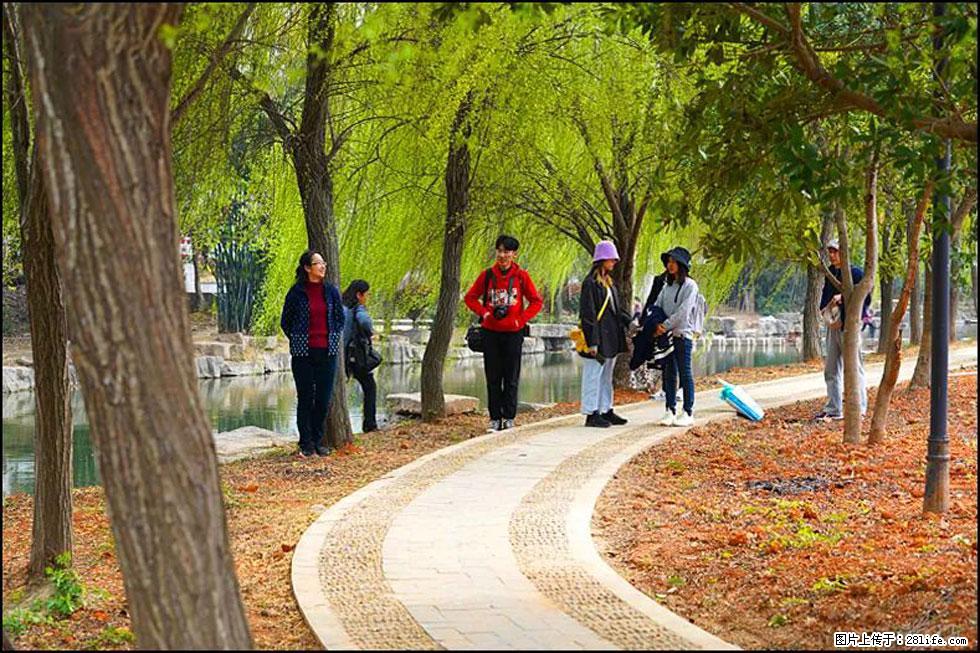 【春天，广西桂林灌阳县向您发出邀请！】江口老街又逢春 - 游山玩水 - 延安生活社区 - 延安28生活网 yanan.28life.net