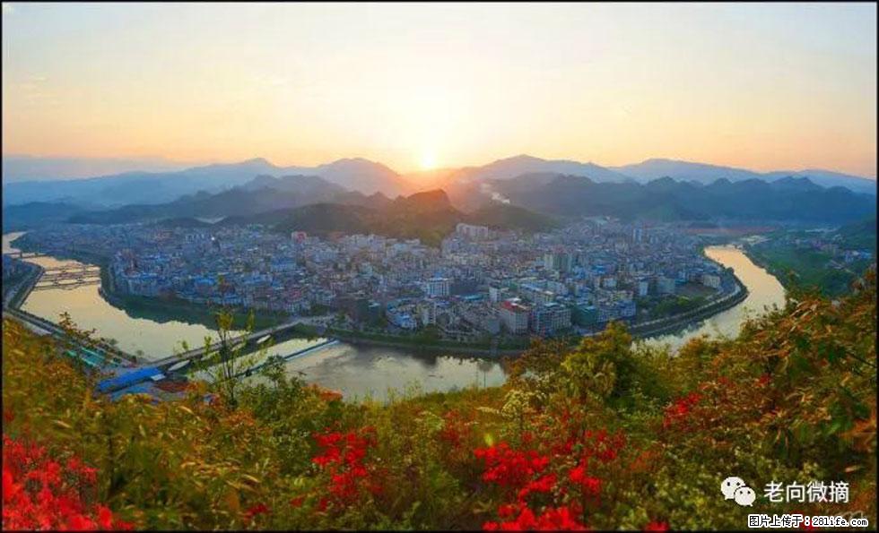 【春天，广西桂林灌阳县向您发出邀请！】登麒麟山，相约映山红 - 游山玩水 - 延安生活社区 - 延安28生活网 yanan.28life.net