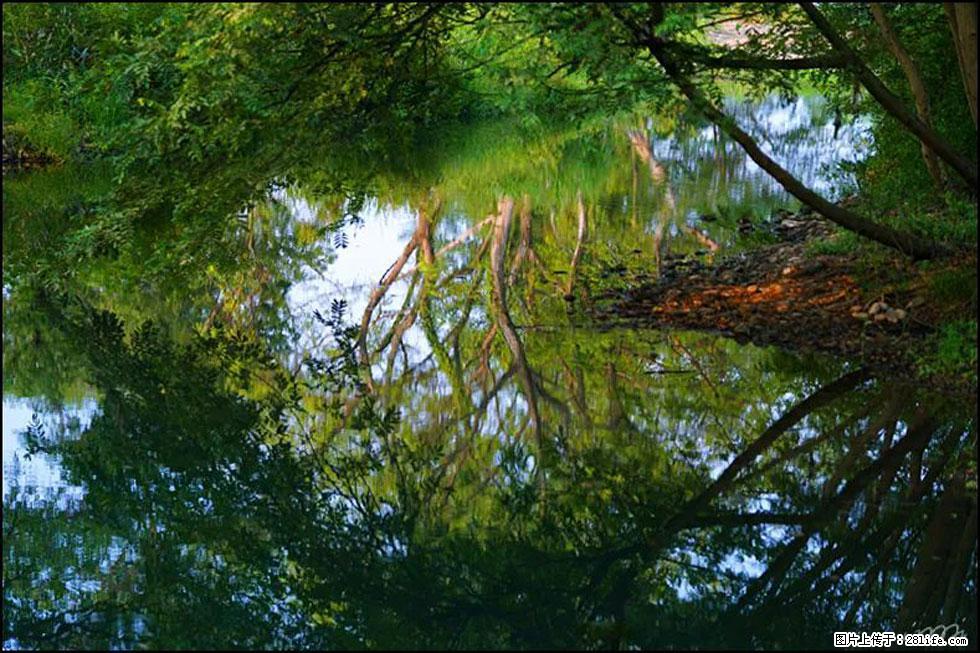 【春天，广西桂林灌阳县向您发出邀请！】熊家寨湿地公园 - 游山玩水 - 延安生活社区 - 延安28生活网 yanan.28life.net