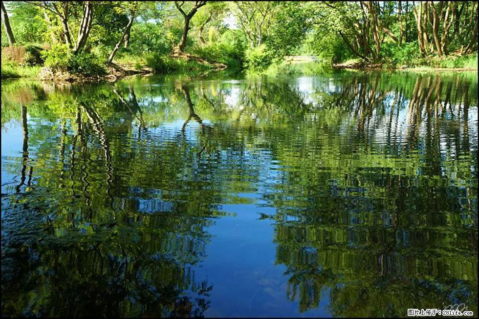 【春天，广西桂林灌阳县向您发出邀请！】熊家寨湿地公园 - 游山玩水 - 延安生活社区 - 延安28生活网 yanan.28life.net