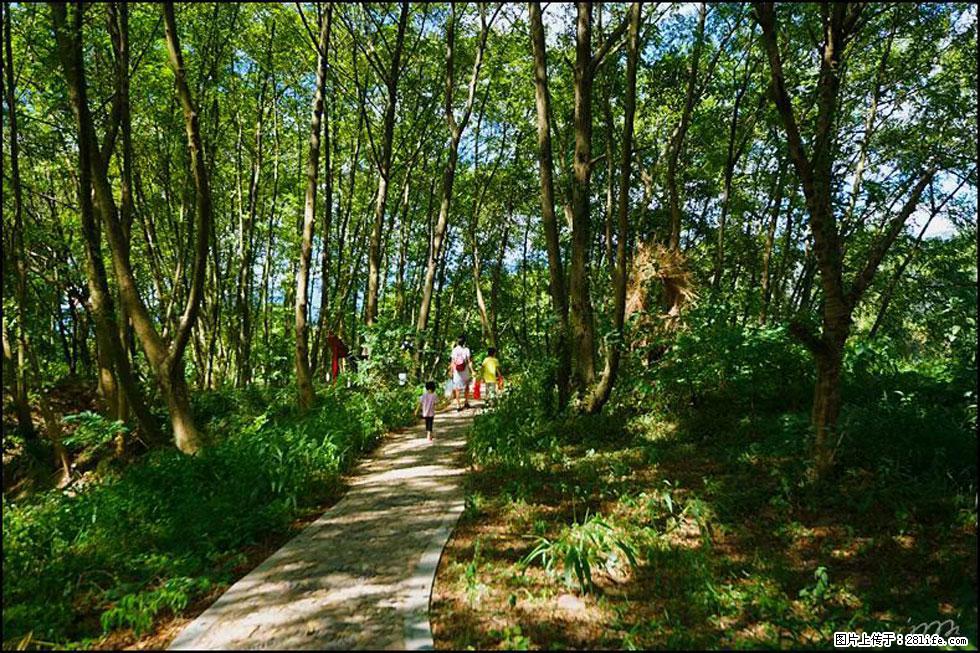 【春天，广西桂林灌阳县向您发出邀请！】熊家寨湿地公园 - 游山玩水 - 延安生活社区 - 延安28生活网 yanan.28life.net
