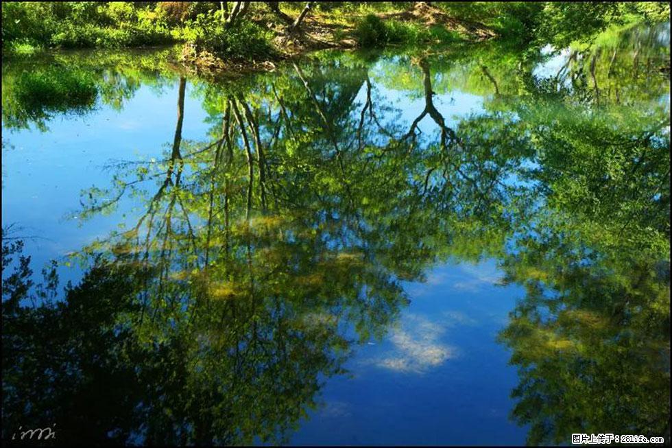 【春天，广西桂林灌阳县向您发出邀请！】熊家寨湿地公园 - 游山玩水 - 延安生活社区 - 延安28生活网 yanan.28life.net