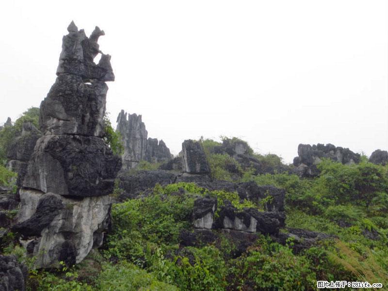 桂林旅游名城景点：灌阳文市石林 - 游山玩水 - 延安生活社区 - 延安28生活网 yanan.28life.net
