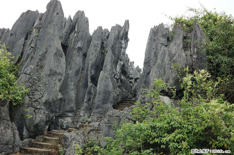 桂林旅游名城景点：灌阳文市石林 - 游山玩水 - 延安生活社区 - 延安28生活网 yanan.28life.net
