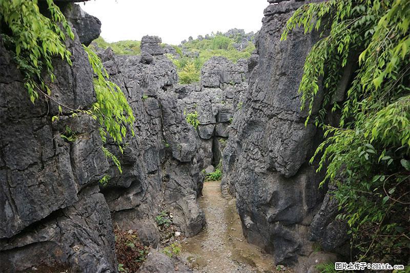 桂林旅游名城景点：灌阳文市石林 - 游山玩水 - 延安生活社区 - 延安28生活网 yanan.28life.net