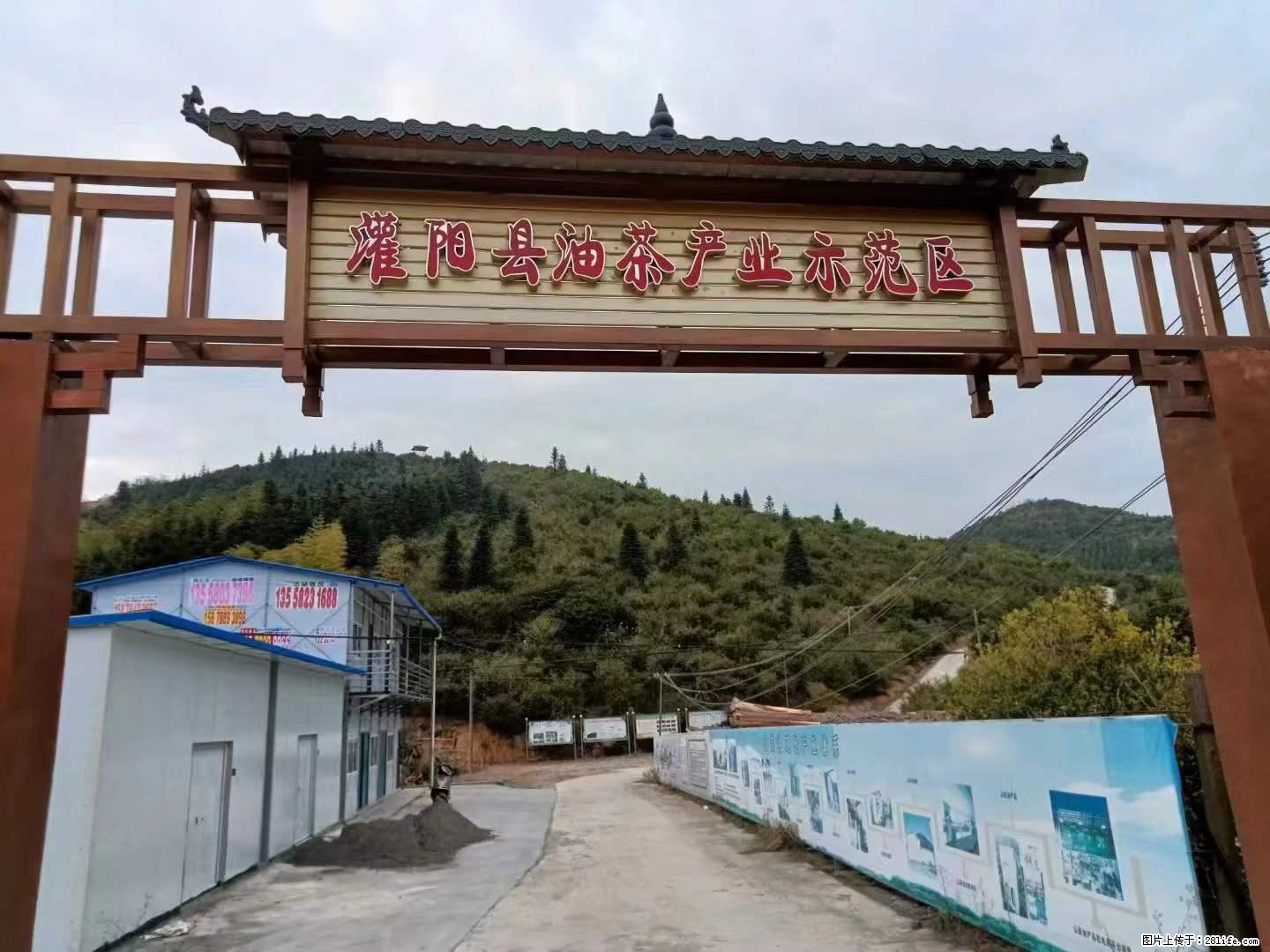 【灌阳县油茶产业示范区】一个有着充实的精神生活的人，对待身外之物自会有一种淡泊的态度 - 美食天地 - 延安生活社区 - 延安28生活网 yanan.28life.net