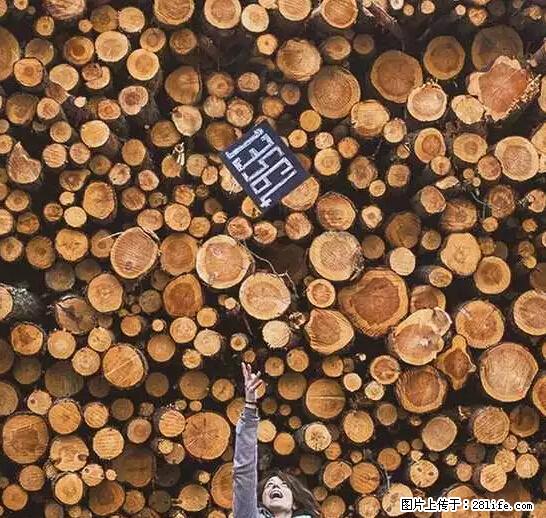 辞掉工作周游世界？现在他们在洗厕所…… - 游山玩水 - 延安生活社区 - 延安28生活网 yanan.28life.net