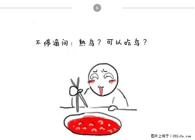 千万不要和这9种哈卵一起吃火锅！ - 美食天地 - 延安生活社区 - 延安28生活网 yanan.28life.net