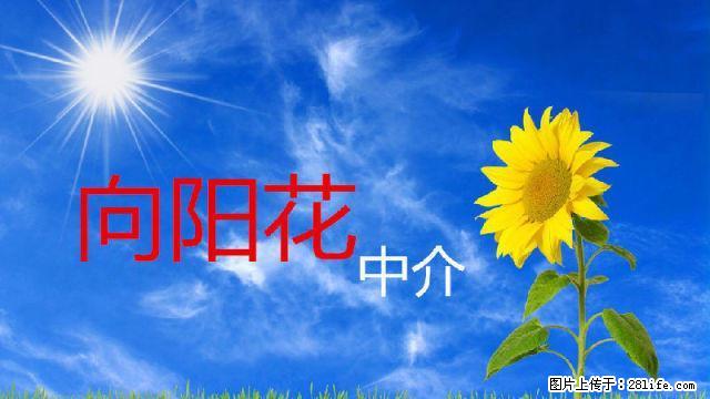 卷烟厂后场两室一厅拎包出租 - 房屋出租 - 房屋租售 - 延安分类信息 - 延安28生活网 yanan.28life.net