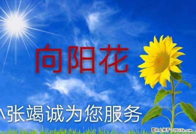 二庄科药材公司三室拎包出租 - 房屋出租 - 房屋租售 - 延安分类信息 - 延安28生活网 yanan.28life.net
