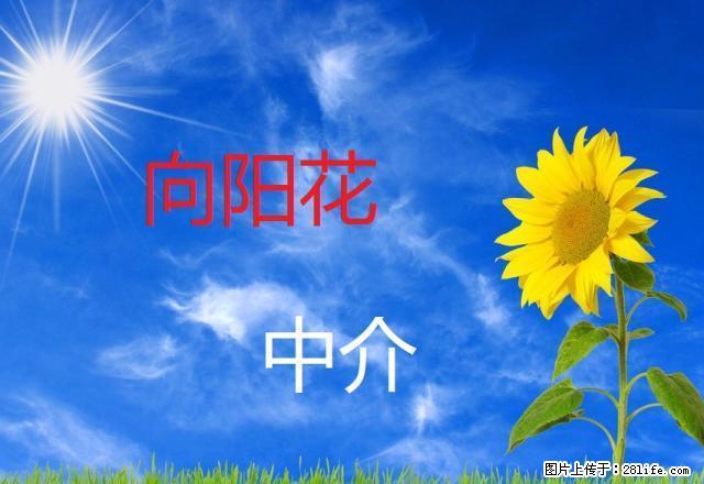 七里铺火车站斜对面丽景花园三室出租 带厨卫、床、沙发、衣柜 - 房屋出租 - 房屋租售 - 延安分类信息 - 延安28生活网 yanan.28life.net