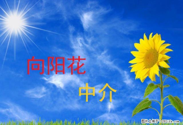 世纪花园小区三室出租 - 房屋出租 - 房屋租售 - 延安分类信息 - 延安28生活网 yanan.28life.net