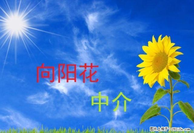 百米大道世纪华宝三室出租 厨卫齐全 年付 - 房屋出租 - 房屋租售 - 延安分类信息 - 延安28生活网 yanan.28life.net