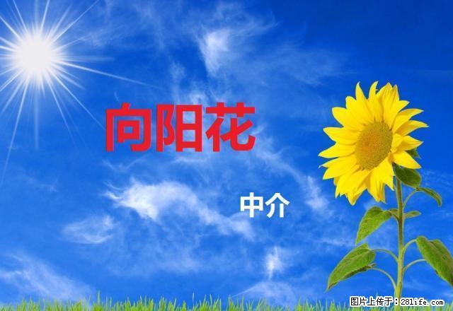 卷烟厂 嘉陵檍树俩室出租 - 房屋出租 - 房屋租售 - 延安分类信息 - 延安28生活网 yanan.28life.net