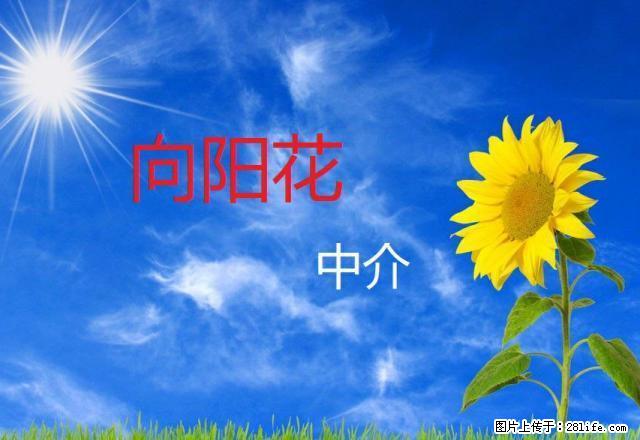 东关两室出租 带家具 年付 - 房屋出租 - 房屋租售 - 延安分类信息 - 延安28生活网 yanan.28life.net