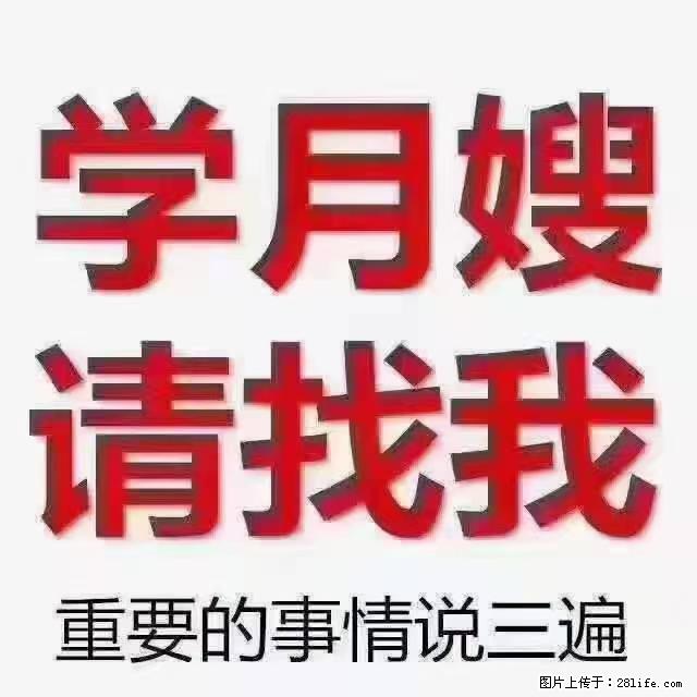 【招聘】月嫂，上海徐汇区 - 职场交流 - 延安生活社区 - 延安28生活网 yanan.28life.net