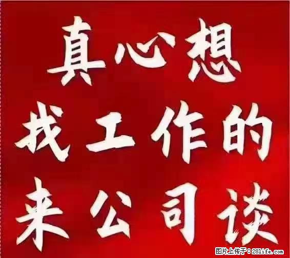 【上海】国企，医院招两名男保安，55岁以下，身高1.7米以上，无犯罪记录不良嗜好 - 职场交流 - 延安生活社区 - 延安28生活网 yanan.28life.net