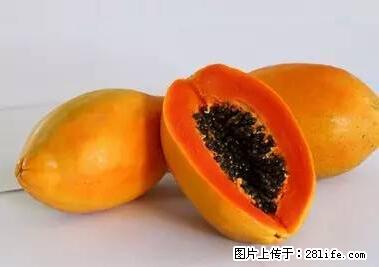 晕车、脚气、牙齿变黄、皮肤粗糙？学会这些三分钟搞定！ - 延安生活资讯 - 延安28生活网 yanan.28life.net
