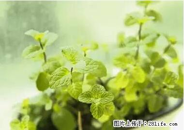 晕车、脚气、牙齿变黄、皮肤粗糙？学会这些三分钟搞定！ - 延安生活资讯 - 延安28生活网 yanan.28life.net