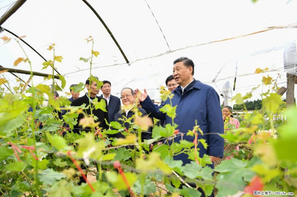 习近平赴广西考察调研 - 延安生活资讯 - 延安28生活网 yanan.28life.net