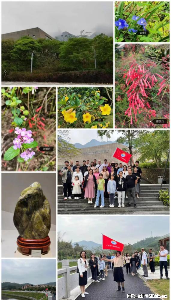 “粤灌文化 美好生活”油茶文化主题活动在广东深圳成功举办 - 延安生活资讯 - 延安28生活网 yanan.28life.net