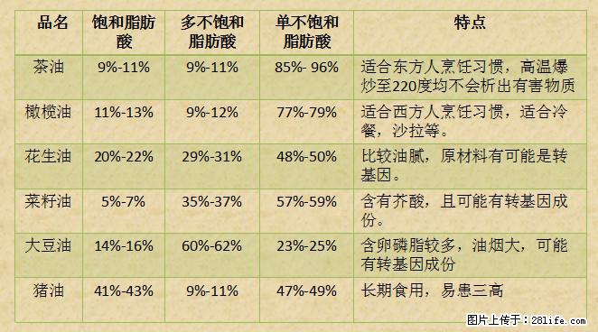 揭秘茶油的5大核心营养成分！被称为人体健康的“守护盾”！ - 延安生活资讯 - 延安28生活网 yanan.28life.net