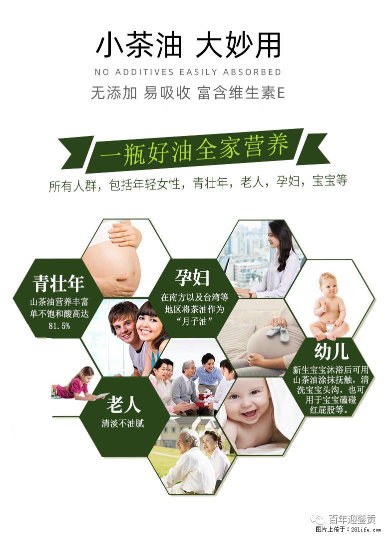 世界没有真相，只有认知，最好的食用油是中国的山茶油！ - 延安生活资讯 - 延安28生活网 yanan.28life.net