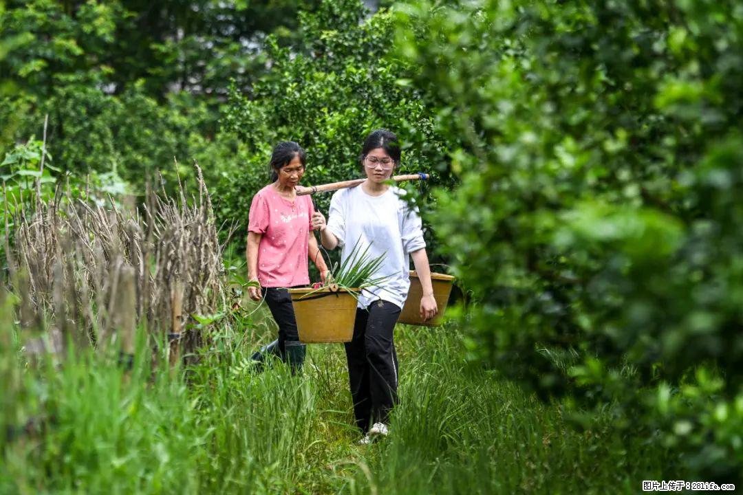 全网追的“扁担女孩”，找了一份暑假工，时薪12元 - 延安生活资讯 - 延安28生活网 yanan.28life.net