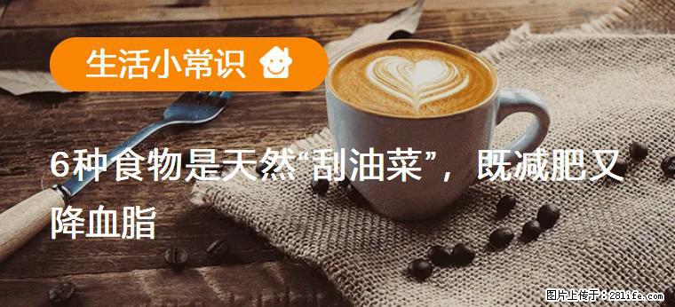 【生活小常识】6种食物是天然“刮油菜”，既减肥又降血脂 - 延安生活资讯 - 延安28生活网 yanan.28life.net