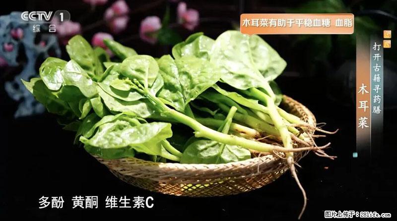 比牛奶补钙还厉害！凉血解毒、稳血糖...这菜冬天必吃，很多人却当草 - 延安生活资讯 - 延安28生活网 yanan.28life.net