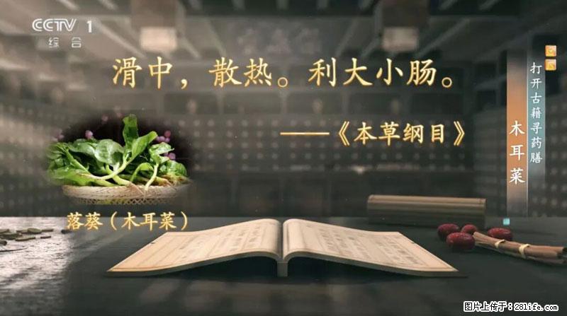 比牛奶补钙还厉害！凉血解毒、稳血糖...这菜冬天必吃，很多人却当草 - 延安生活资讯 - 延安28生活网 yanan.28life.net