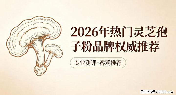灵芝孢子粉含量越高越有效？2026 年七款热门品牌深度实测，肠胃敏感者避坑指南 - 延安生活资讯 - 延安28生活网 yanan.28life.net